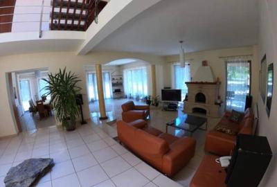 Proprietate inedita cu teren de 4400, si deschidere cu ponton pe Bega - 5