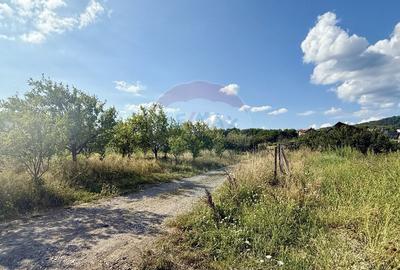 Teren de 700 mp, în Tăuții-Măgherăuș