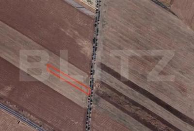 Tren, 5000 mp, DJ 215 - 2