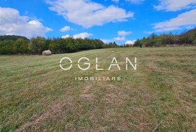 Teren Tocile (parcelabil) 3500 mp - 8