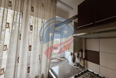 Apartament cu 2 camere semidecomandat, mobilat în Brazda lui Novac - 11