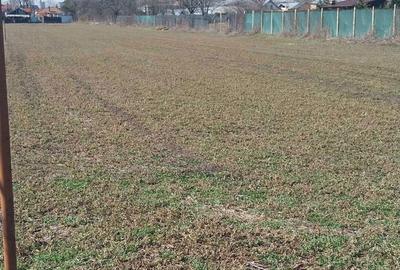 Teren de 2500 mp, în Tătărani - 3