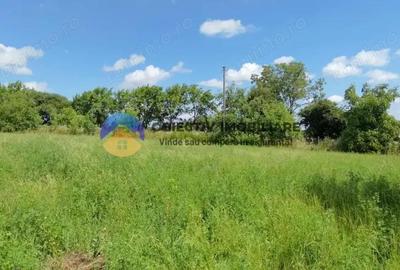 Teren intravilan de vanzare Unghi- jud. Neamt - 11