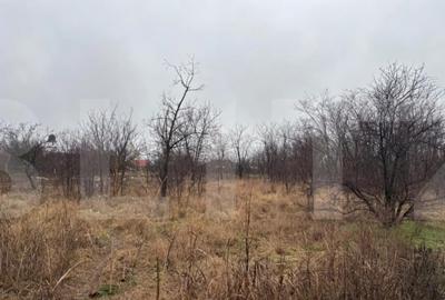 Casă cu 2 camere cu Teren 1756 Mp în Sânpaul - 3