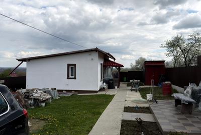 Casă individuală cu 2 camere cu Teren 1100 Mp în Central - 2