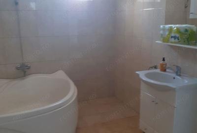 Casa P+E de vanzare in Ineu, jude?ul Arad - 5