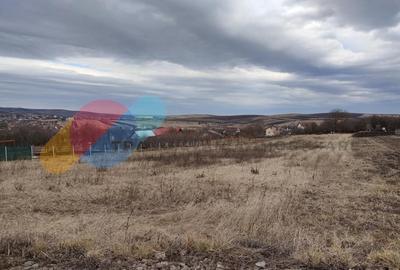 Teren 4000 mp in Tureni - 1