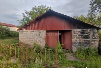 Spațiu comercial, de 230 mp, în Moldova Nouă - 1