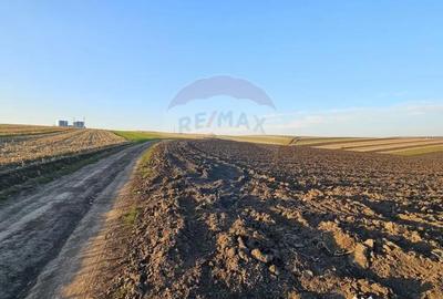 Teren de 30077 mp, în Stroiești - 4