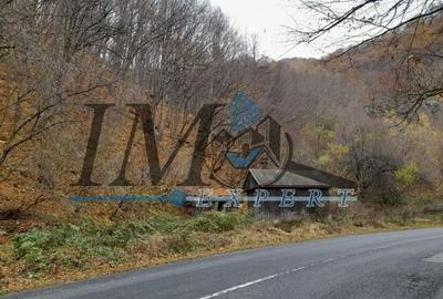 Teren extravilan direct la șoseaua TRANSALPINA - 2