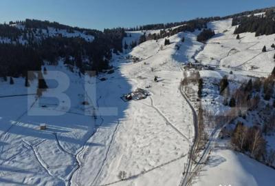 Teren de 36000 mp, în Central