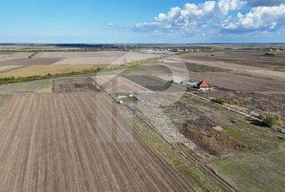 Refugiu la marginea padurii 2822 mp de liniste in Cocani - 2