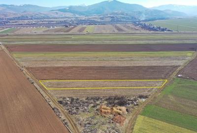 Teren agricol extravilan de 2000 mp, în Tărlungeni