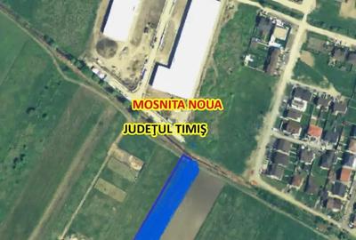Teren de 10000 mp, în Moșnița Nouă - 1