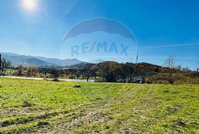 Teren 5,325mp Rona de Jos / Soseaua Prinncipala - 1