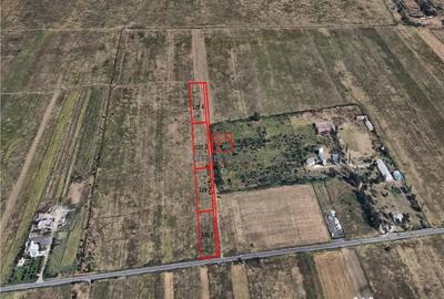 Teren de 8950 mp, în Măgurele - 5