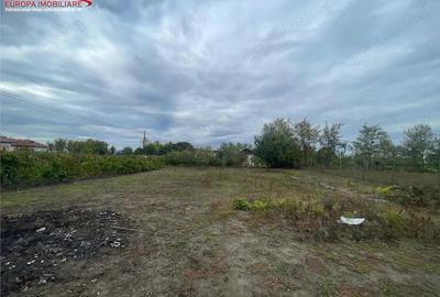 Teren de vanzare in localitatea Iazurile judetul Tulcea - 6