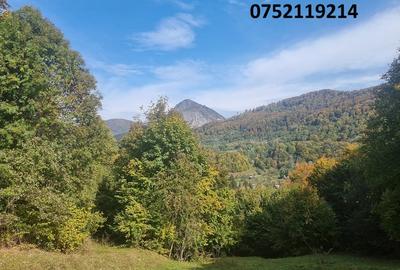 Teren deosebit, la munte, Dragoslavele, Rucar, Arges, doar 6 euro/mp! - 3