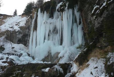 Teren de 2800 mp, în Vidra - 1