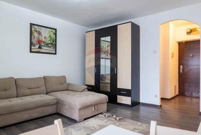 Garsonieră semidecomandată, mobilată în Pantelimon - 2