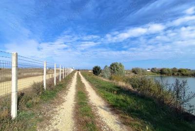 Casă cu 4 camere cu Teren 63700 Mp în Borș - 8