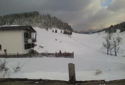 Teren de 5200 mp, în Fundata - 8