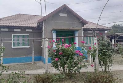 Casă cu 4 camere cu Teren 3046 Mp în Zebil - 8