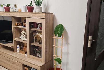 Apartament cu 4 camere semidecomandat în Central