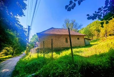 CASA si 2393 mp TEREN INTRAVILAN, Muntii Apuseni, NEGRENI - CLUJ la 1 km de E60 - 34