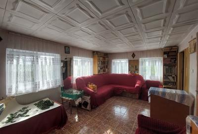 PROPRIETATE SUPERBA IN BIBIRESTI - 18