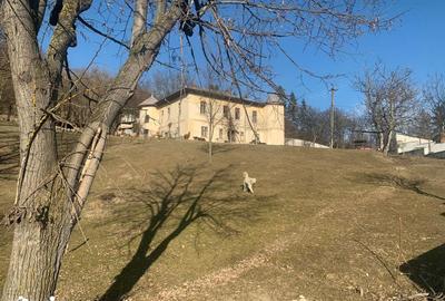 Casă cu 8 camere cu Teren 105000 Mp în Chiojdeanca - 3