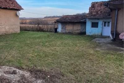 Casă cu 2 camere în Șoimeni - 5