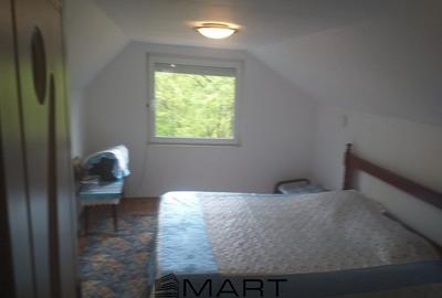 Teren extravilan 7432 mp, cu cabana de lemn Capalna AB - 4