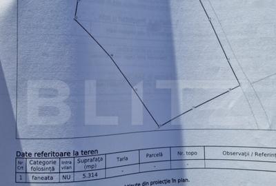 Teren parcelabil, front la strada, 5314mp, utilitati, Marise - 2