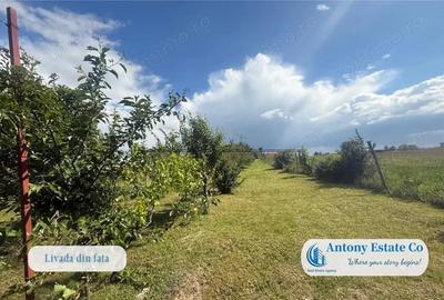 Casă cu 2 camere cu Teren 2900 Mp în Hidiș - 2