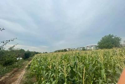 Teren de 7430 mp, în Central