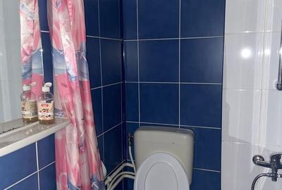 Garsonieră decomandată în Dosu Bricii - 4