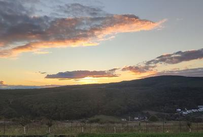 Teren de 1500 mp, în Baciu - 12