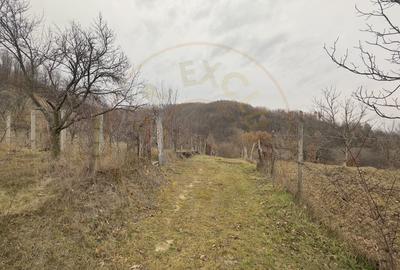 0% Comision Teren intravilan 814 MP-Stefanesti-Valea Mare Podgoria! - 3