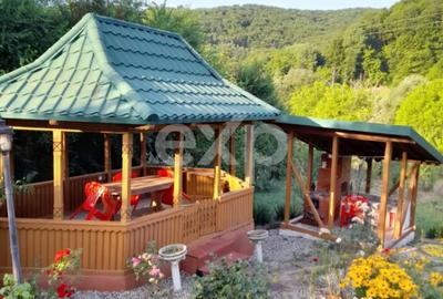 Casă cu 4 camere cu Teren 5500 Mp în Mălureni - 7