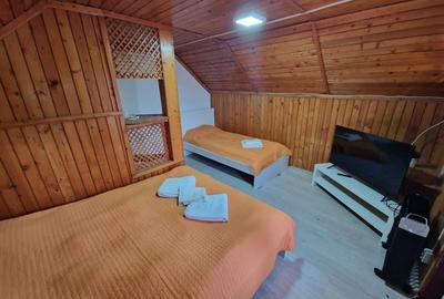 Pensiune la Cheia, modernizata, functionala in totalitate, vedere mirifica - 27
