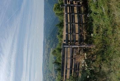 Vand cabana Maguri - 6