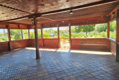 Spațiu comercial, de 60 mp, în Studina - 4