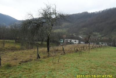 Vand teren in Ranusa - 7