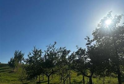 Reco Casa cu teren in Budureasa, langa Stana de Vale - 3