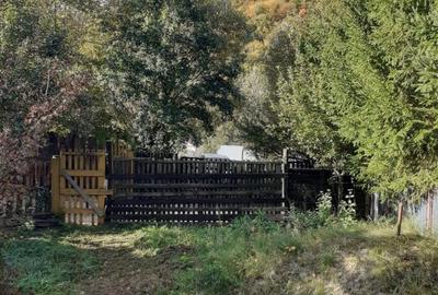 Casa zona Lepsa pret 46000 euro - 3