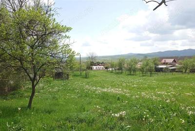 Casă cu 3 camere cu Teren 4977 Mp în Brad - 3