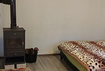 Casă cu 2 camere cu Teren 800 Mp în Galicea Mare - 12