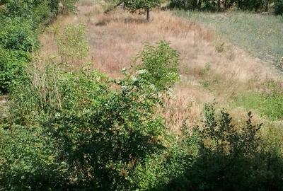 Casă cu 6 camere în Jupa - 8