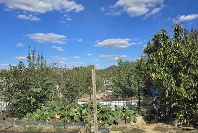 Casă cu 3 camere cu Canalizare în Parța - 13